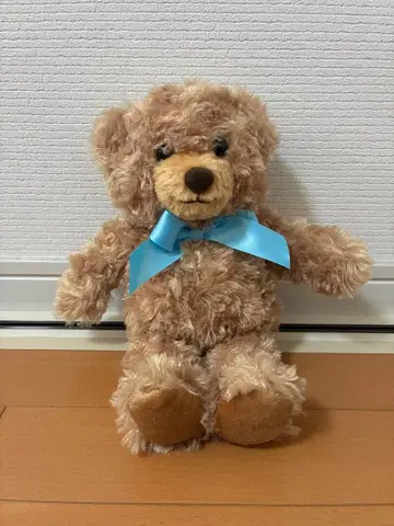 브라운 테디베어