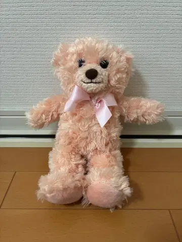 핑크 테디베어