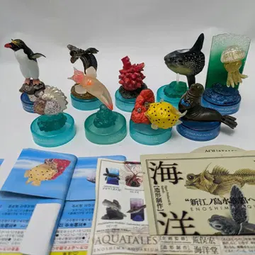 카이요도 신에노시마 수족관 입체 생물 도감 심해어 피규어 세트