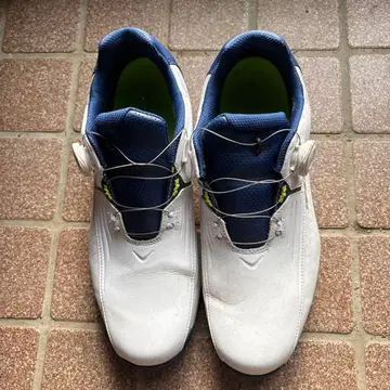 Bridgestone SHG350 골프화 28.0