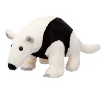 이와야(IWAYA) 코아쿠이의 미나미쨩 3267-1