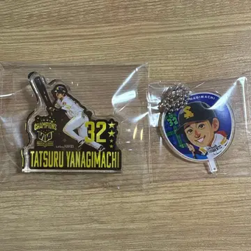 야나기마치 타츠시 굿즈 묶음 판매