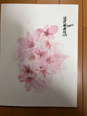 타키자와 가부키 ZERO FINAL SnowMan 팜플렛