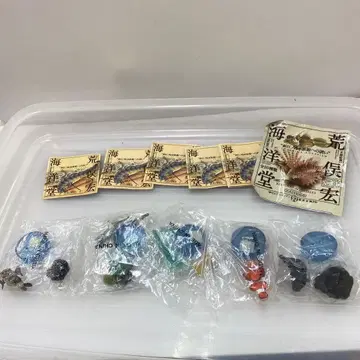 카이요도 신에노시마 수족관으로의 초대 컴플리트 5개