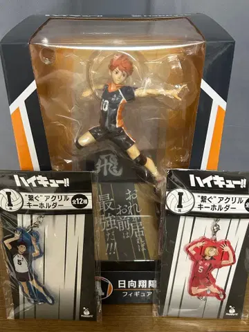 하이큐!! 제일복권 히나타 쇼요 피규어 등