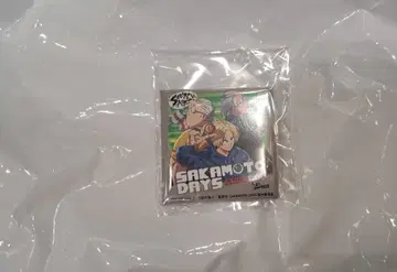 점페스 2026 사카데이