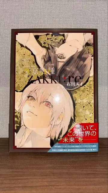 도쿄 구울 ZAKKI:re 이시다 스이