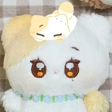 세븐틴 부승관 10cm 인형 뿌띠캣 양도 | 브랜드 중고거래 플랫폼, 번개장터