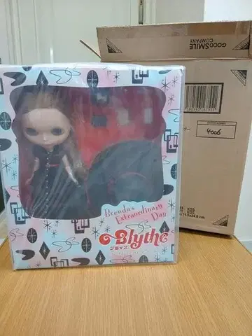 네오 브라이스 브렌다즈 엑스트라 오디너리 데이 보관품