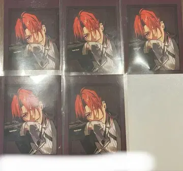 오토마 오토후유 포토 카드 미스트니아 애스콧