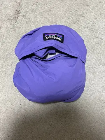 파타고니아 에일 백