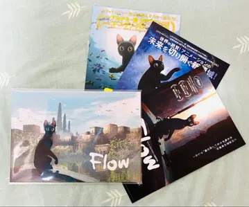 flow 팜플렛 플라이어 영화 고양이