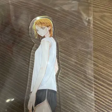 푸른상자 ZOZOTOWN 조조 아크릴 스탠드 시카노 치나츠