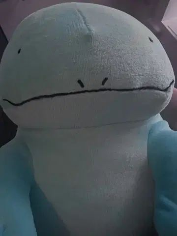 포켓몬 누오 산에이 무역 포켓몬스터 봉제 인형 모찌후와 쿠션