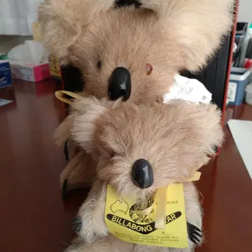 BILLABONG 코알라 봉제 인형 대소 세트