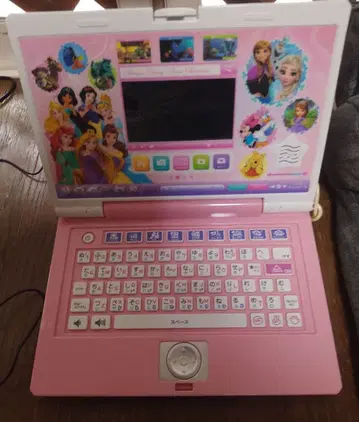 프린세스 컴퓨터