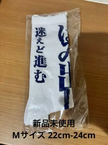 망설여도 나아가는 그 한 걸음이 길이 되는 양말 새로운 학교의 리더즈