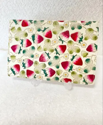 분코야 오제키 퍼스널 홀더 이치고