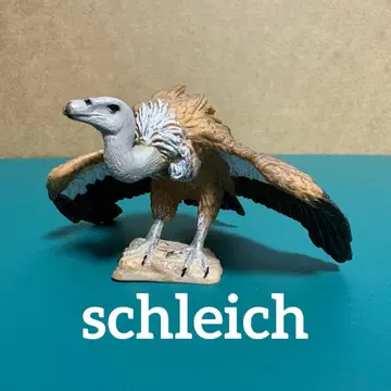 슐라이히 흰목물떼새