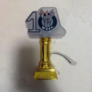 WEST. AWARD 응원봉