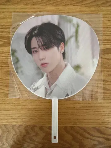 스키즈 한 부채