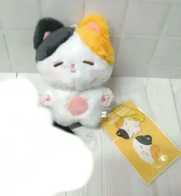 지민 10cm 봉제 인형