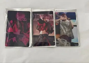 우라타누키 포토 카드