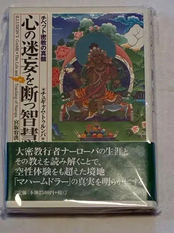 마음의 미혹을 끊는 지혜: 티베트 밀교의 진수 미야사카 유코