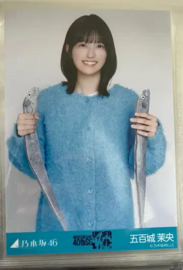 노기자카46 이오키 마오 언더 라이브 니트 롱 데님 스커트 츄