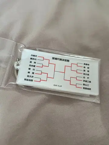 하이큐 토너먼트표 키링