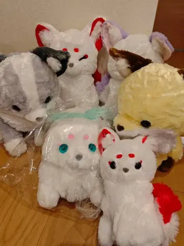 콩콩 여우 구미 묶음 판매