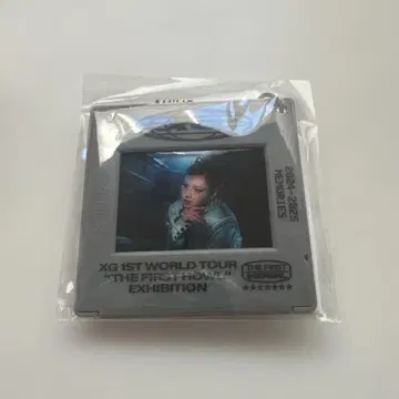 XG EXHIBITION 가챠 캡슐 토이 키링 HARVEY