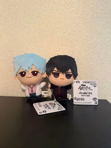 3학년 Z반 긴파치 선생님 SD 인형 사카타 긴파치 히지카타 토시로