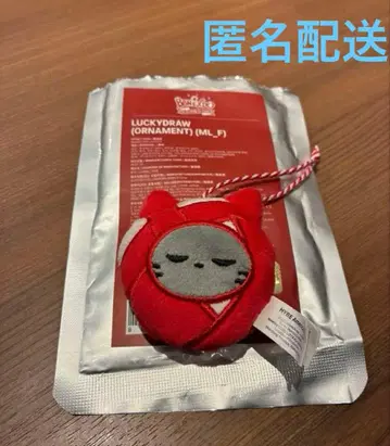 BOYNEXTDOOR 푸네크도 오너먼트