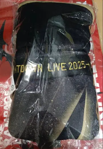 THE RAMPAGE 카운트다운 카우콘 담요