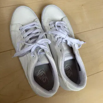 VANS 화이트 스니커즈 25.5cm