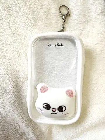 Stray Kids 아크릴 스탠드 케이스 지니레트 아크릴 스탠드 덤 포함