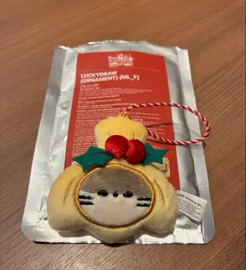 BOYNEXTDOOR 푸넥도 오너먼트