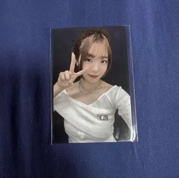 에비하라 북 꿈으로의 시작 트레이딩 카드