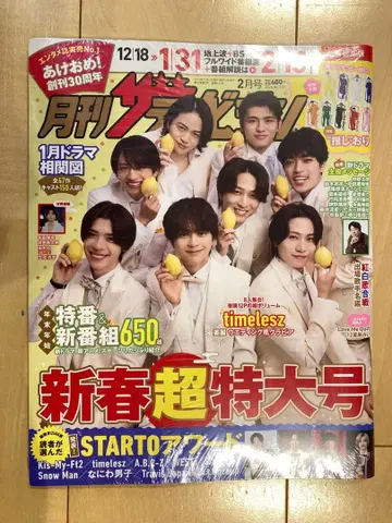 신춘 초특대호 월간 더 TV 수도권판 쇼지 코헤이 엽서 포함