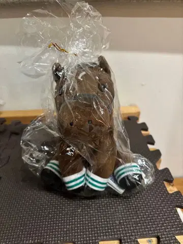 키세키 아이돌 호스 국화상