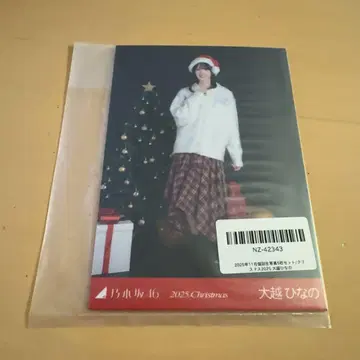 노기자카46 브로마이드 크리스마스 2025 5종 오고시 히나노