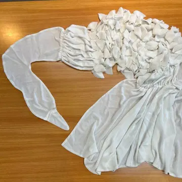 아차츄무의 백조 스톨입니다.