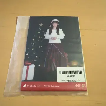 노기자카46 생사진 크리스마스 2025 5종 오가와 아야