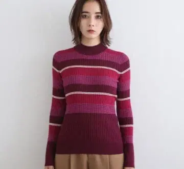 INDIVI [세탁 가능] 멀티 보더 하이넥 니트