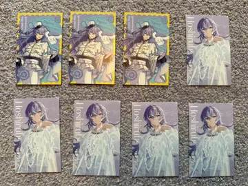 별도 쇼 트레이딩 카드 폴라로이드 산리오 SUISAI RAIN