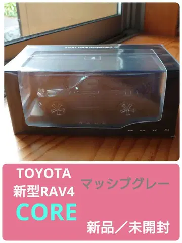신형 RAV4 CORE 매시브 그레이 컬러 샘플