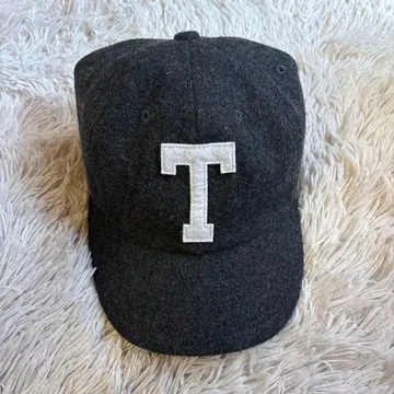 THE NORTH FACE 그레이 T 로고 캡