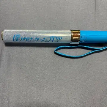 내가 보고 싶었던 푸른 하늘 응원봉