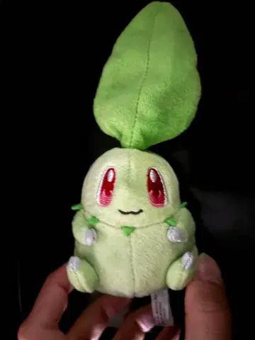 포켓몬 푸치 봉제 인형 치코리타 포켓몬 센터